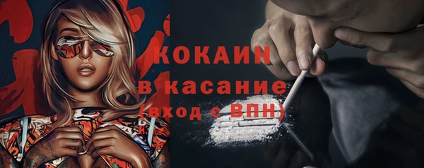 эйфоретик Пересвет