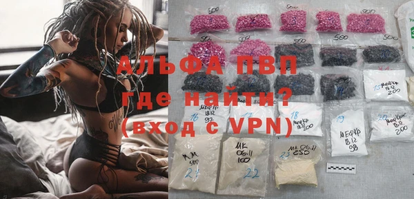 эйфоретик Пересвет