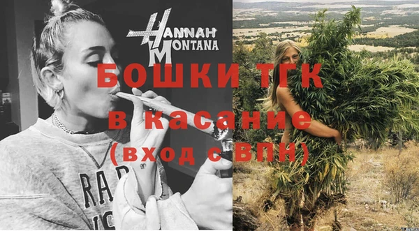 эйфоретик Пересвет