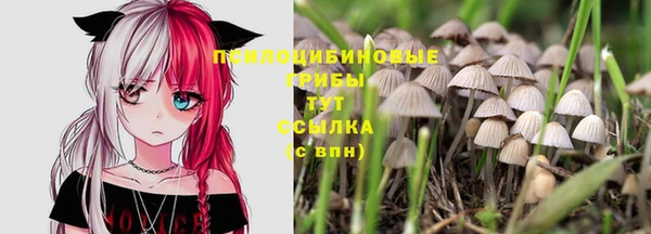 эйфоретик Пересвет