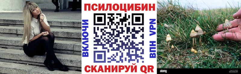 Галлюциногенные грибы мицелий  Тайга 