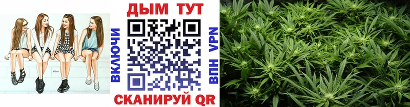Бошки марихуана план  дарнет шоп  это официальный сайт  Тайга 